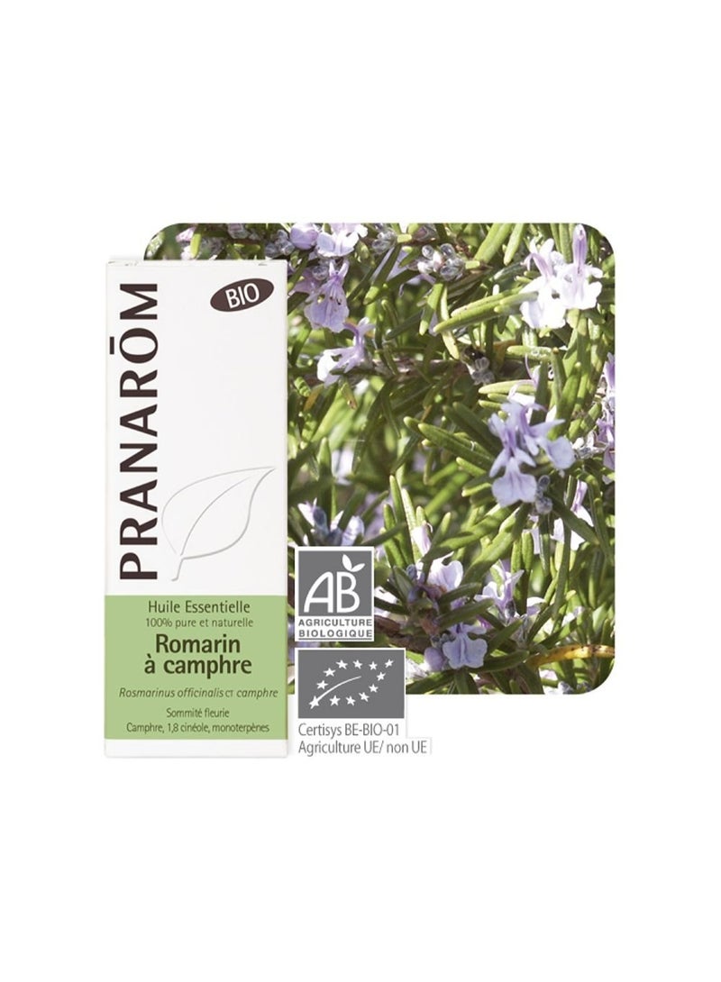 PRANAROM Pranarôm Bio Essential Oil Camphor Rosemary (Rosmarinus officinalis CT camphre) 10 ml - Image 3